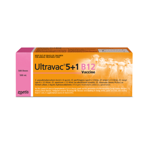 does water reduce bac VetOne Vitamin B-12 3000 mcg/mL Injection, 100 ml main image 1